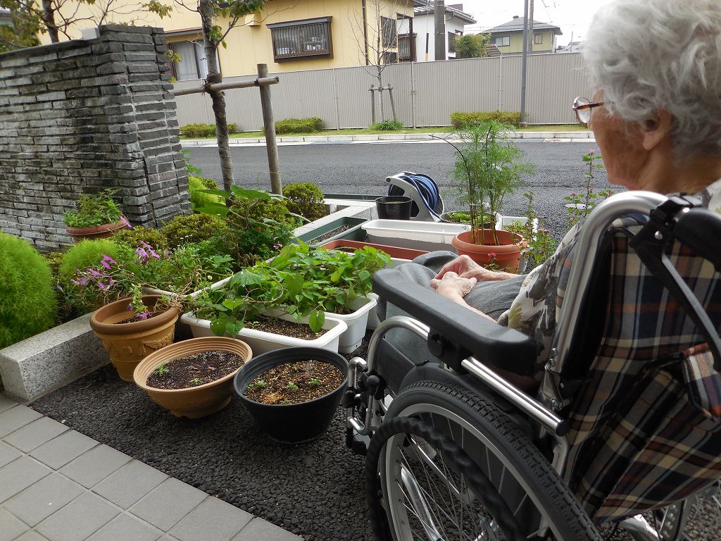 雨あがりのお散歩