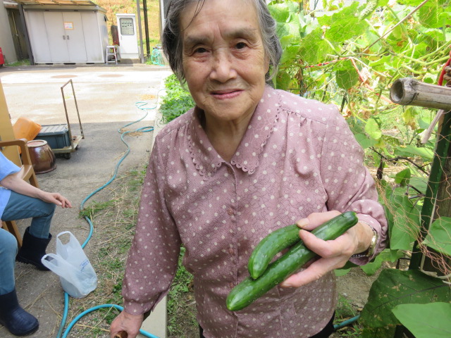 夏野菜収穫祭！