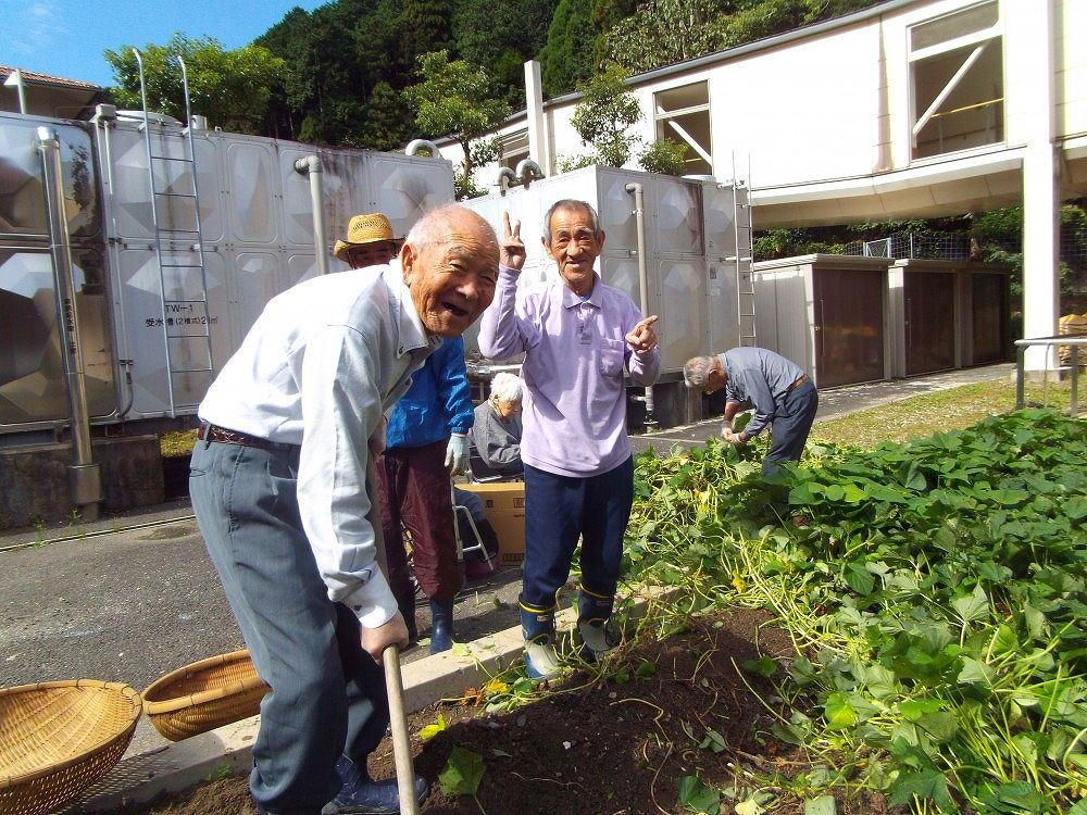 さつまいもを掘りました！