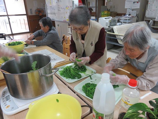 料理日和