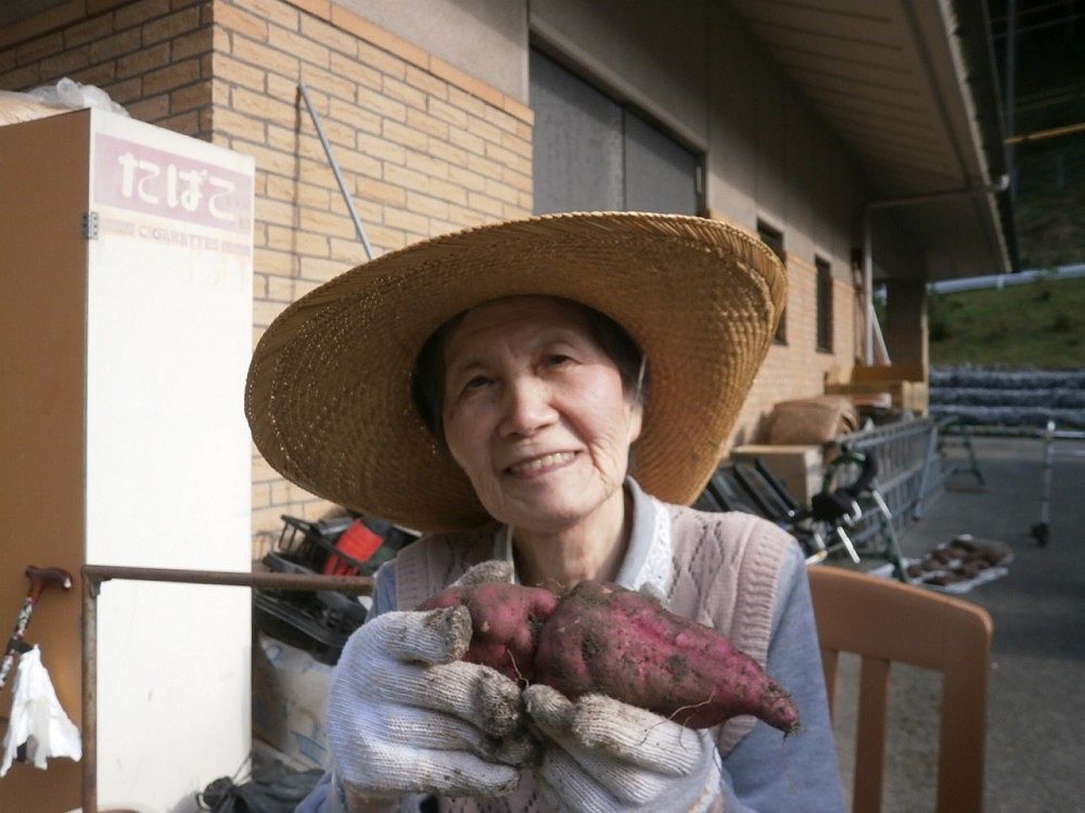 芋堀り