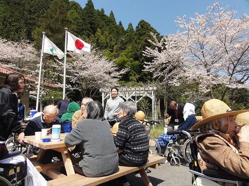 お花見