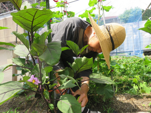 えりかの里お料理教室！