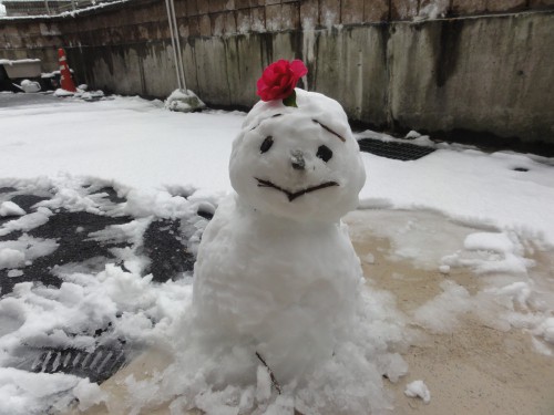 小さな雪だるま