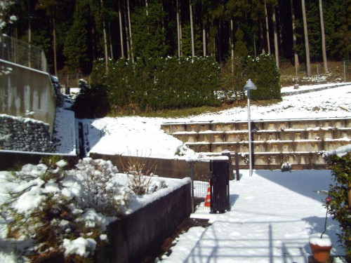 雪が積もりました。