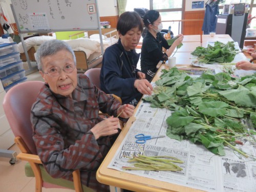 フキとよもぎ・・・