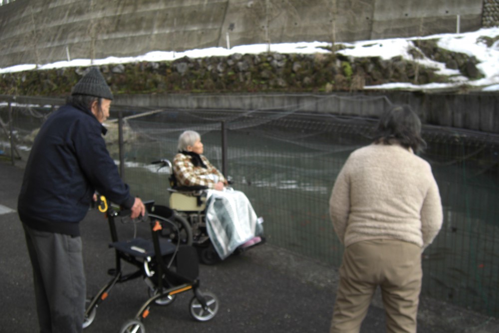 みかんに金魚