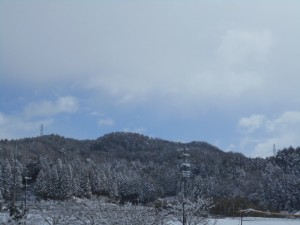 DSCN3351