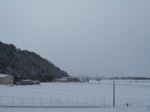 DSCN3352