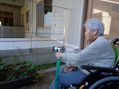 家庭菜園です。