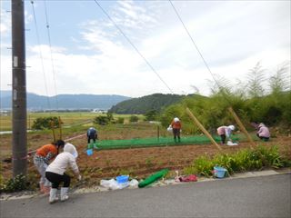 畑仕事はじめました。