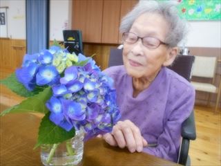 6月の花と言えば…。