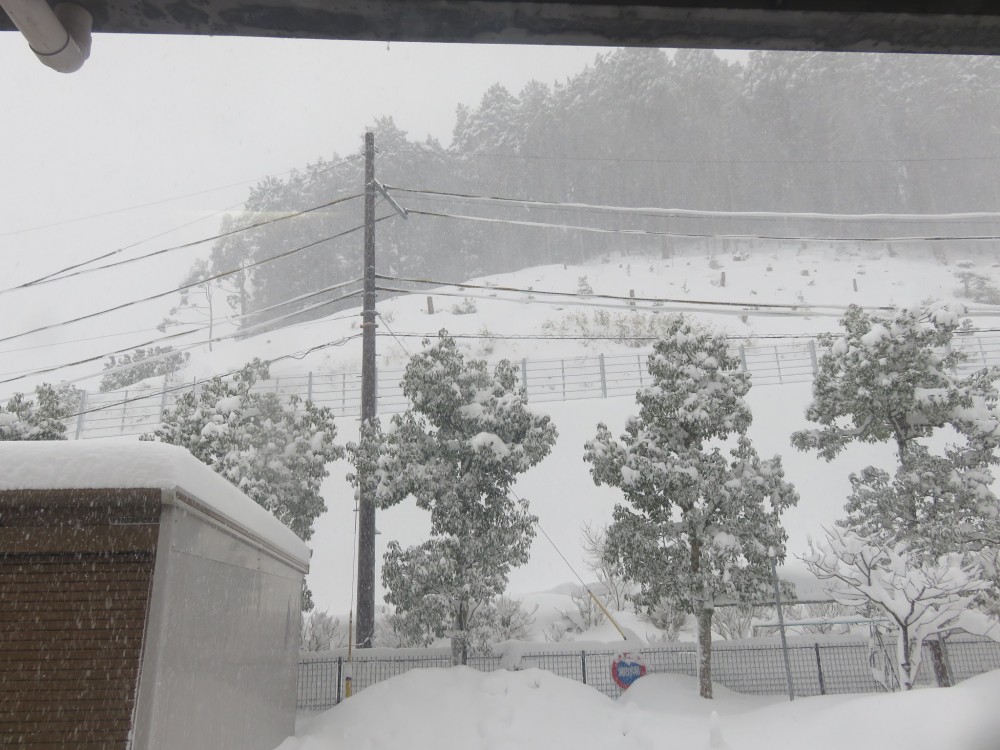 雪がたくさん降りました。