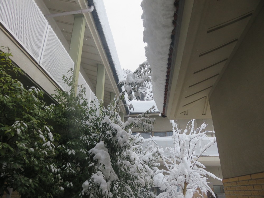 本日、雪のためお休みになりました。