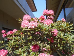 DSCN5647