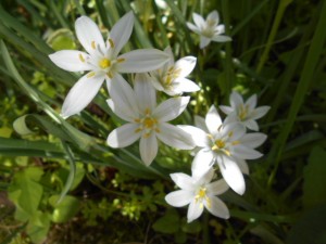 DSCN5660