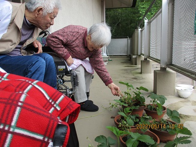 久々のご対面