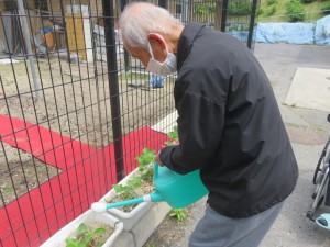 いちごがグングン！