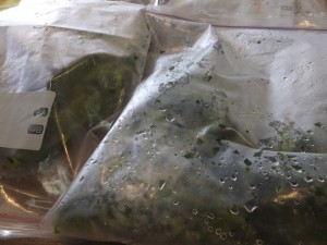 DSCF2371