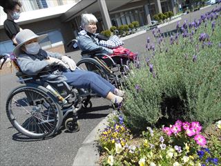 七夕の短冊と散歩