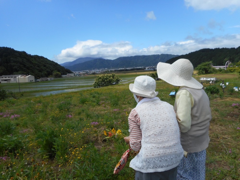 お花を摘みましょう