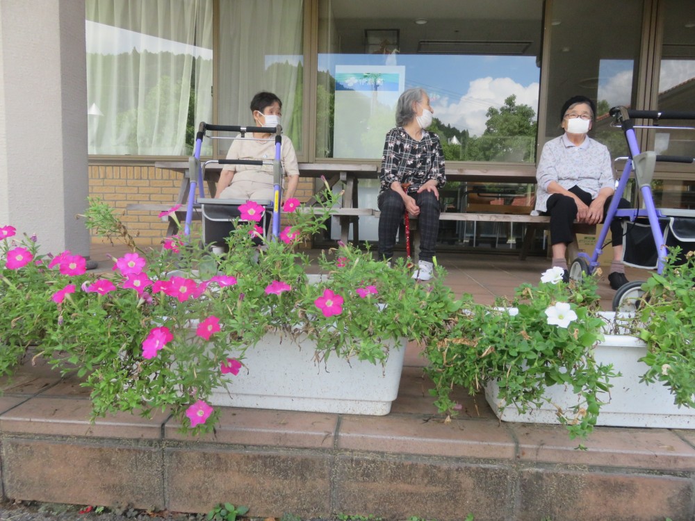 今日も良い天気で、外へ行って来たよ！