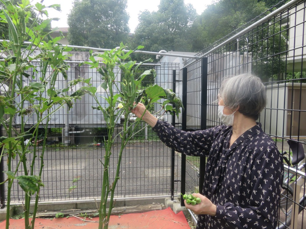 今日は晴れ晴れとした天気で、外へ散歩に行ったよ！