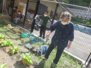 畑の水やり冬野菜編