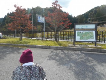 芋餅と池田温泉足湯②