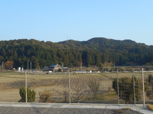 小春日和の一日