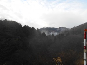 DSCN6543