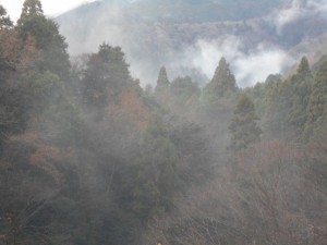 DSCN6545