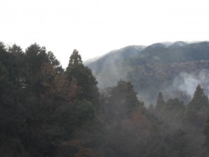 DSCN6546