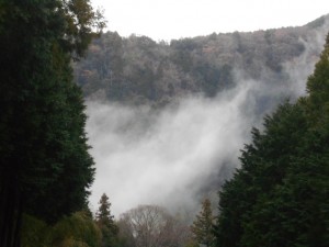 DSCN6548