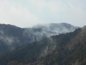 DSCN6554