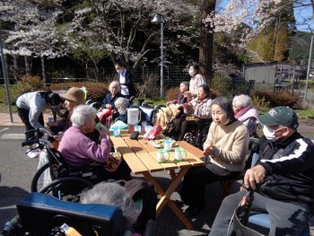 桜満開！笑顔満開