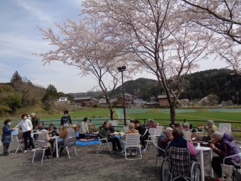 和みの花見