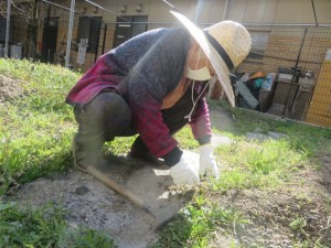 土が固いと大変です。