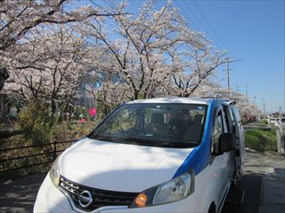 お花見ドライブ♡