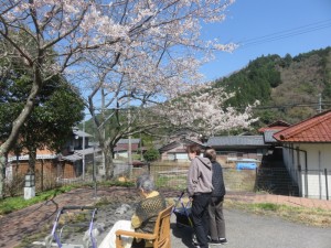 お花見日和