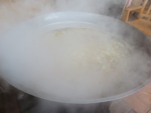 IMG_9529