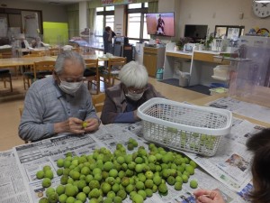 梅の季節です。