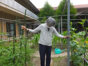 成長するとお猿さんが・・・。