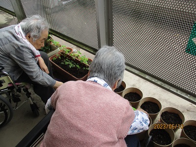 花の水やり