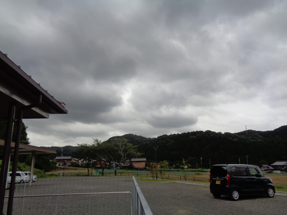 梅雨空が戻ってきました。