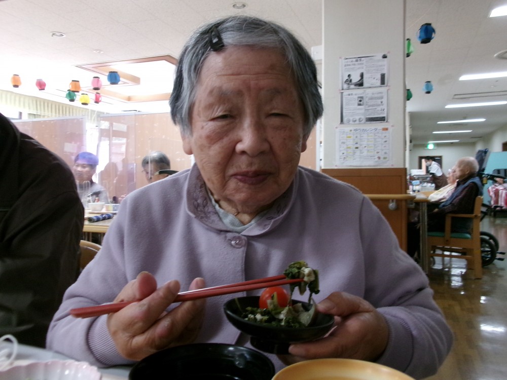 畑で取れた野菜を食べたよ！