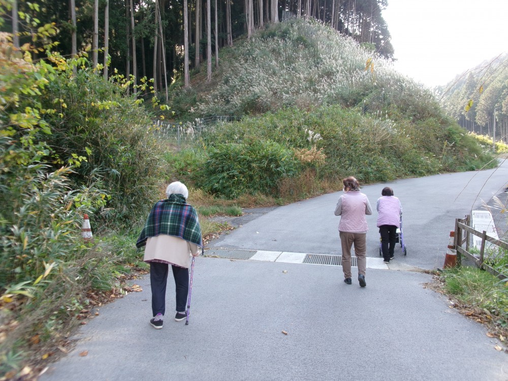 今年はクリスマスと紅葉が一緒に来た！（笑）