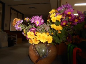 DSCN7425