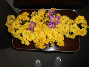 DSCN7426