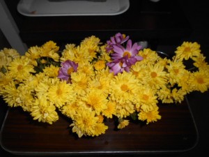 DSCN7428